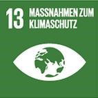 SDG 13